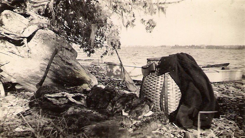 This was taken back in 1939 by my late father, Earl “Pat” Newcomb, on his trap line on Sebasticook Lake. The back of the card reads: 24 rats (muskrats), November 2, 1938, Mills Spring. –Submitted by Lois Rowe, Dixmont 234-2183